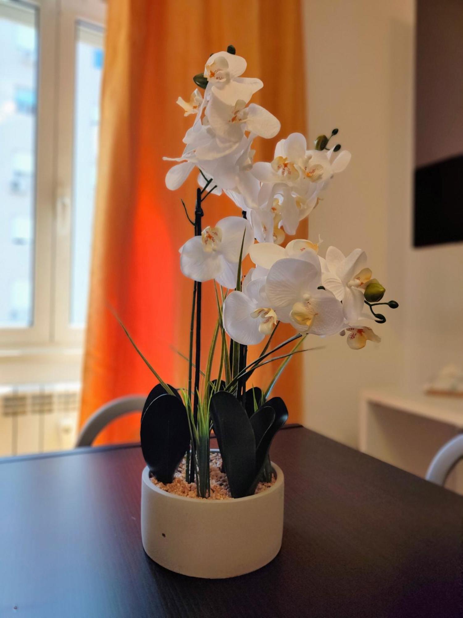 Apartament Casa Roma Marconi Zewnętrze zdjęcie